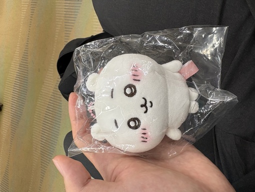 ASUMURA(ｱｽﾑﾗ) ついに…！ちいかわガチャで神引き😭✨